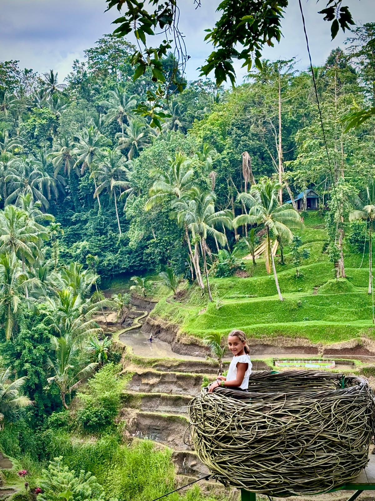 IMG-20250820-WA0025 5 Sin Timón